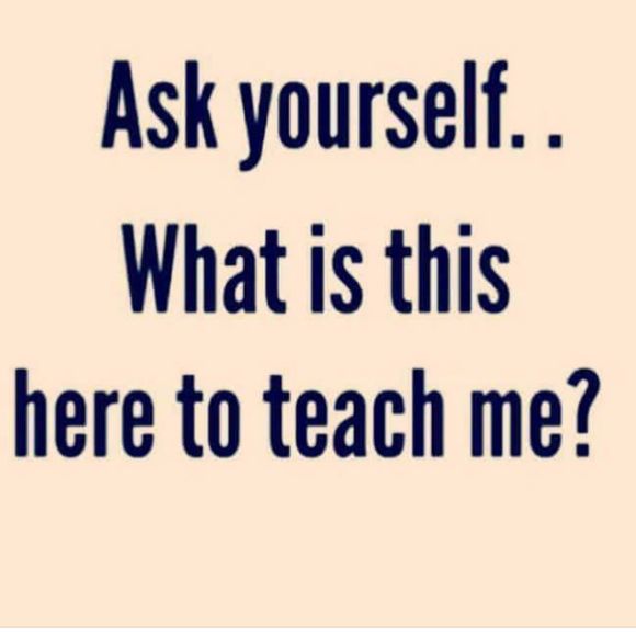 Meet your Posher, Dee dee - Picture 1 of 1